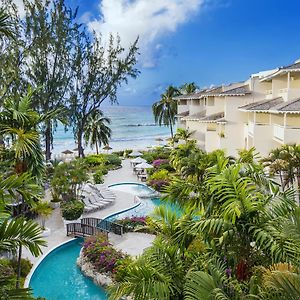 Bougainvillea Barbados